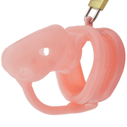 Keuschheitskäfig Harz Master 20 Rosa